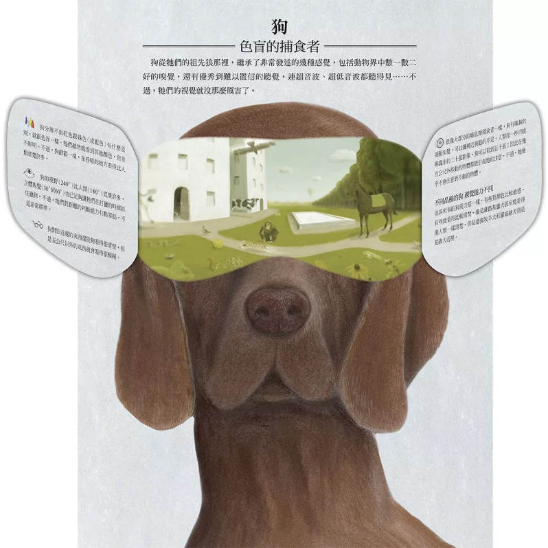 動物眼中的世界（典藏新裝版）