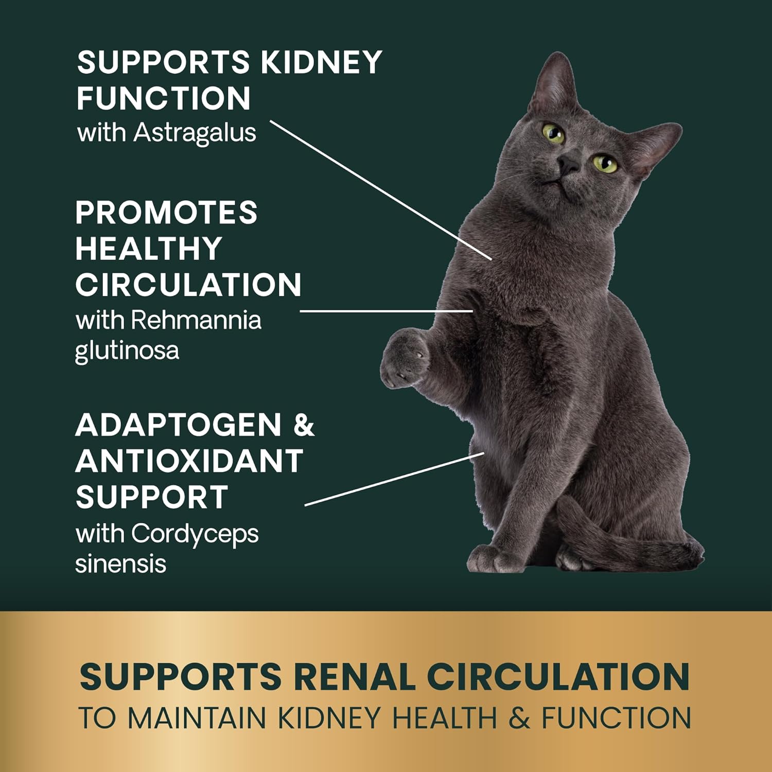 VetriScience Renal Essentials 貓貓腎臟護養補充片