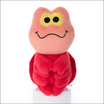 [現貨] [日本直送] 沙巴信 {排排坐}