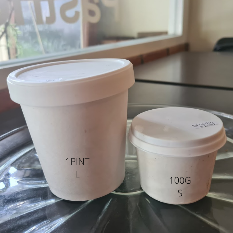 Keto Mint and Dark Chocolate Chips Ice Cream-1 Pint