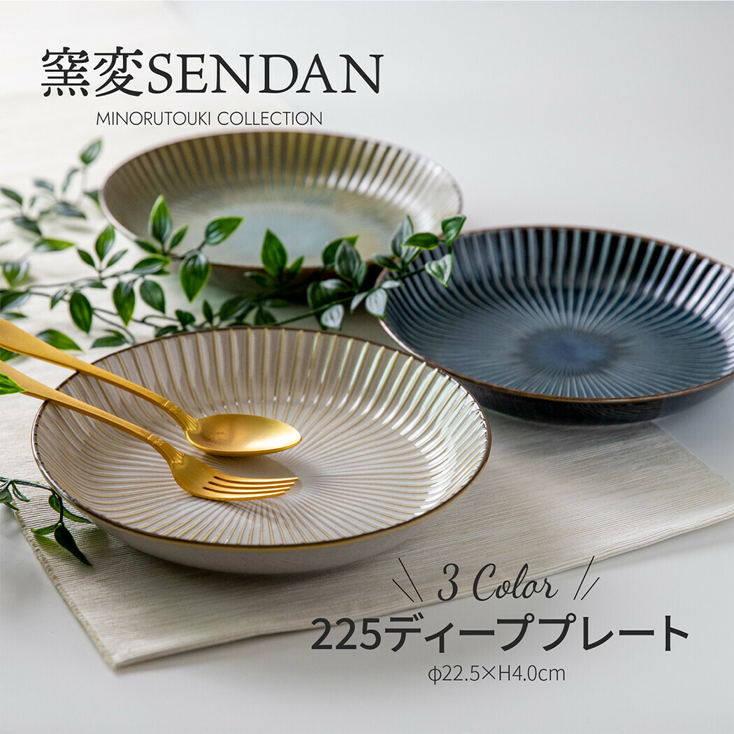 美濃燒 窯變 SENDAN 22.5cm 深碟