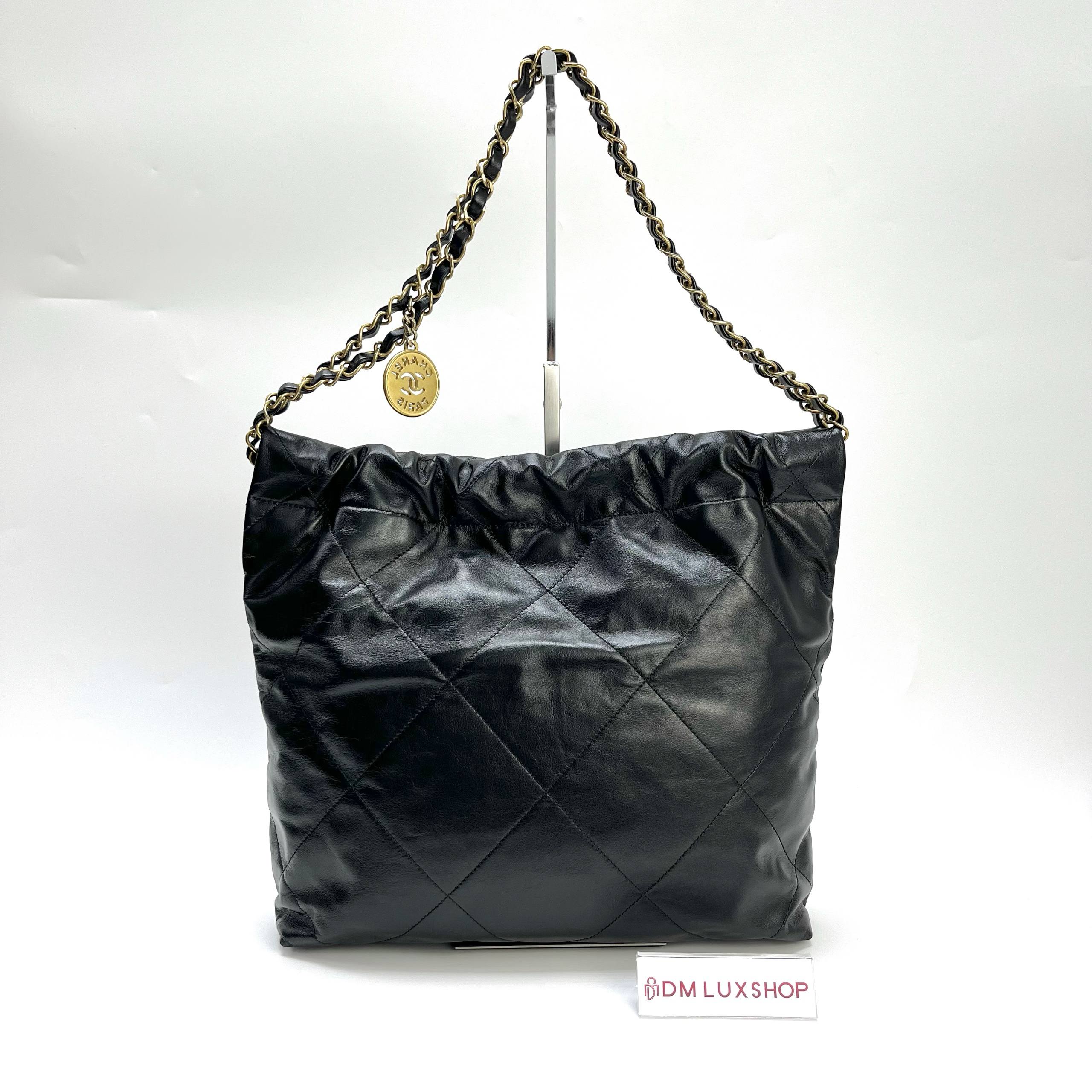 Chanel 22 Small GHW (Microchip)