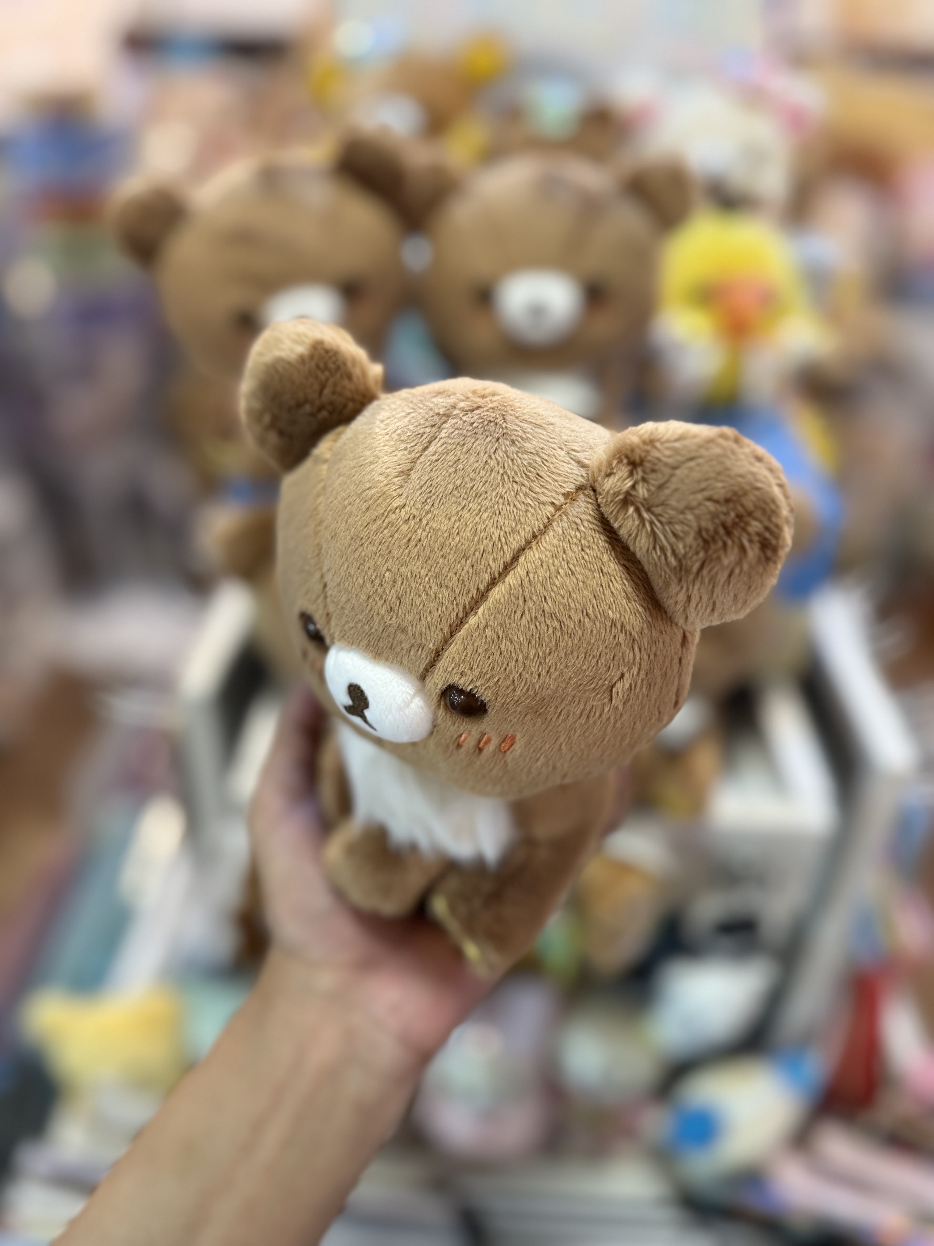 《現貨》全新日本專店限定小熊10週年 側坐小熊公仔