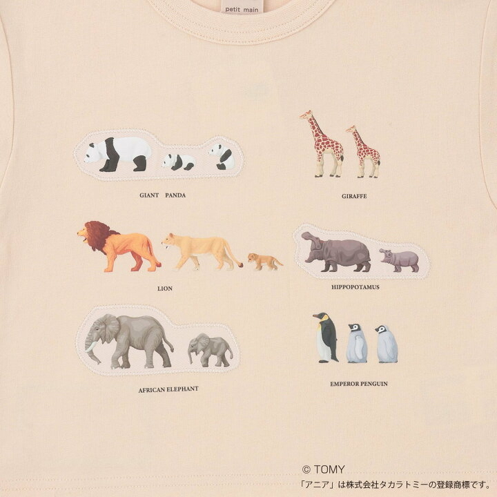 🇯🇵預訂 日本直送🇯🇵Petit Main x Tomica系列三色恐龍動物車車印花假兩件長袖T恤