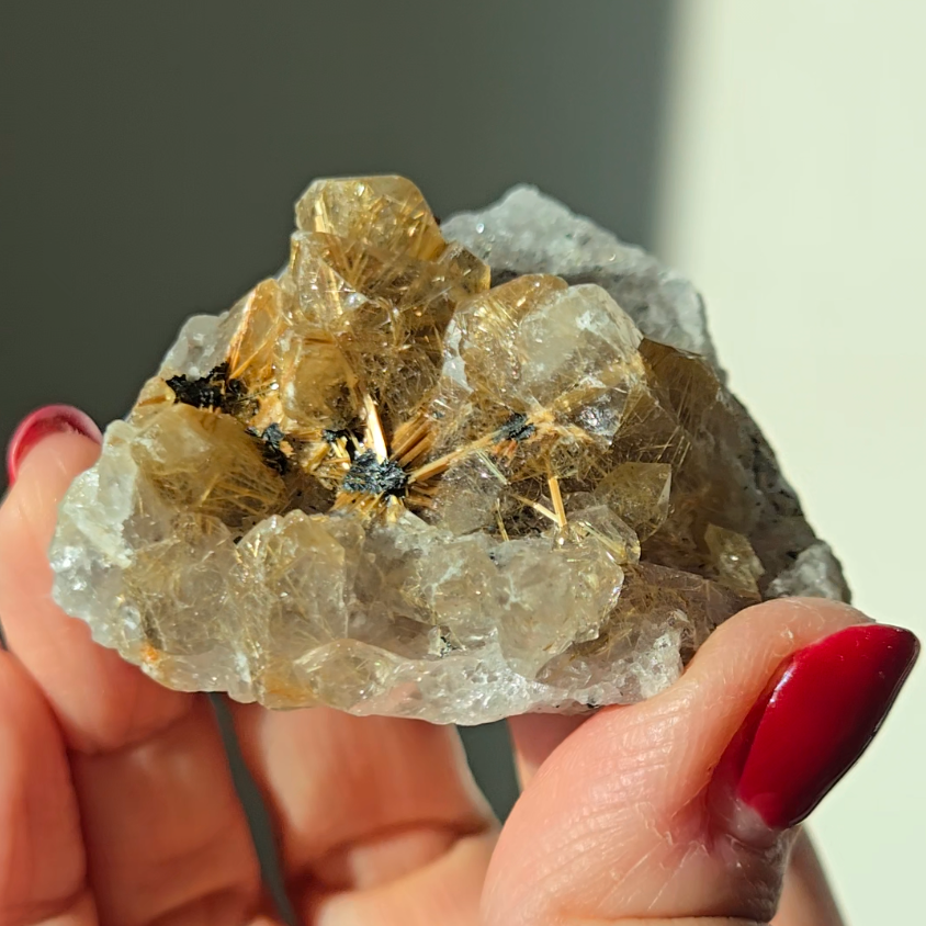 Golden starburst black hematite flower rutile quartz - RT1432