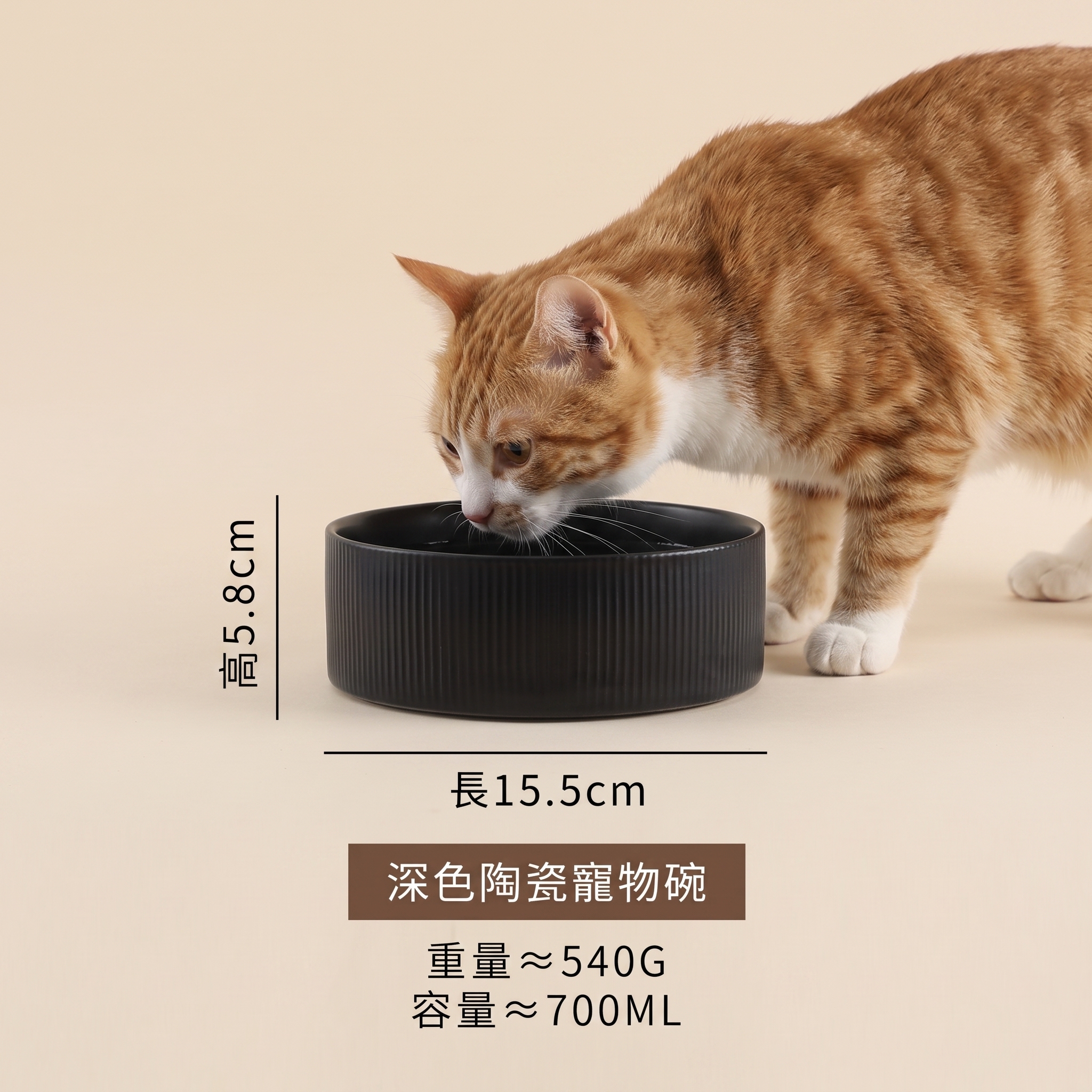 【今期義賣！】深色陶瓷寵物碗