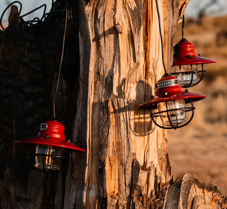 Barebones Edison String Lights 愛迪生串串營燈