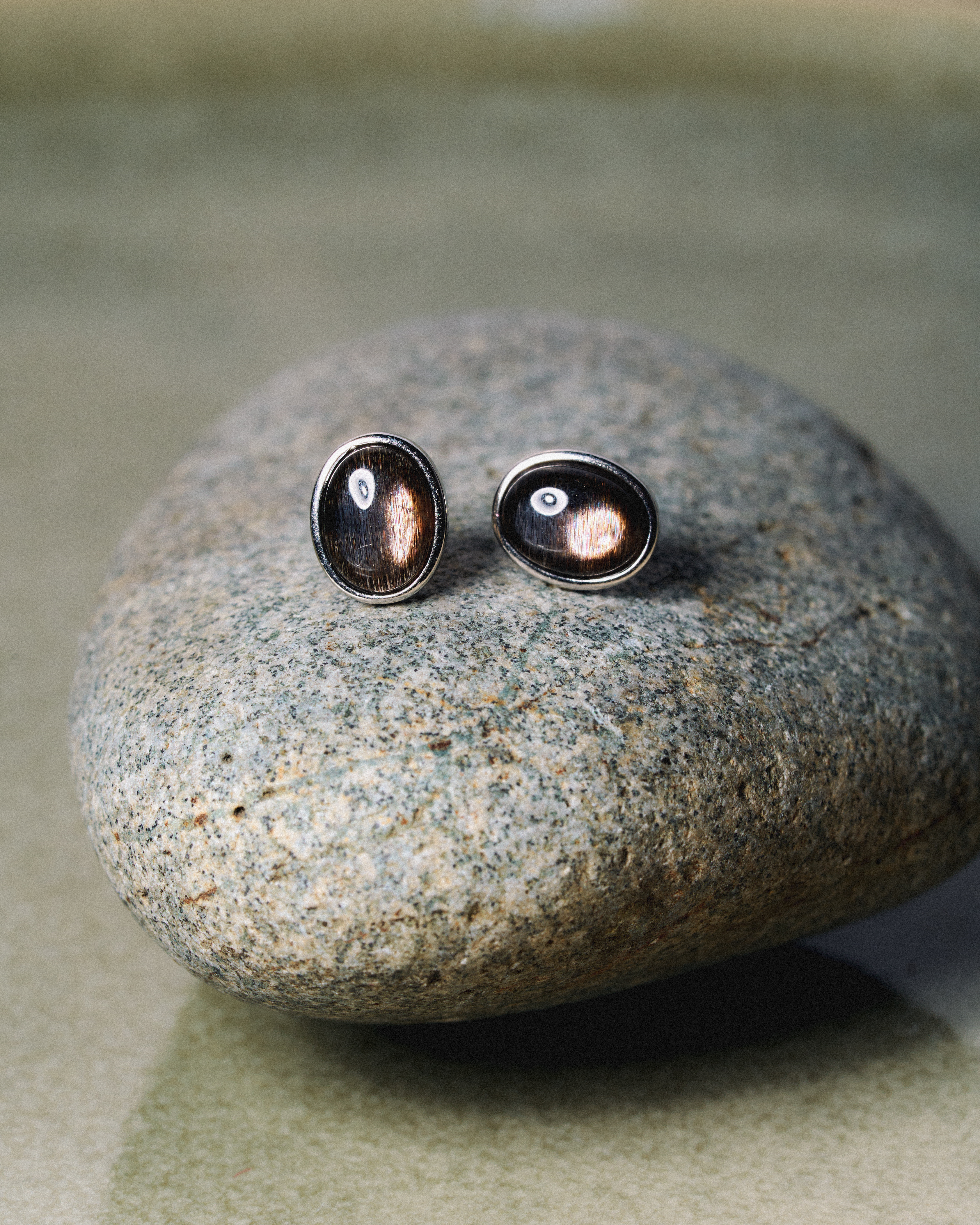 Solar Backbone Earring