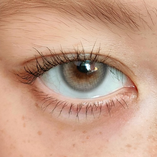 i-DOL(URIA) - BADCAT Egyptian Gray (1day/10P)