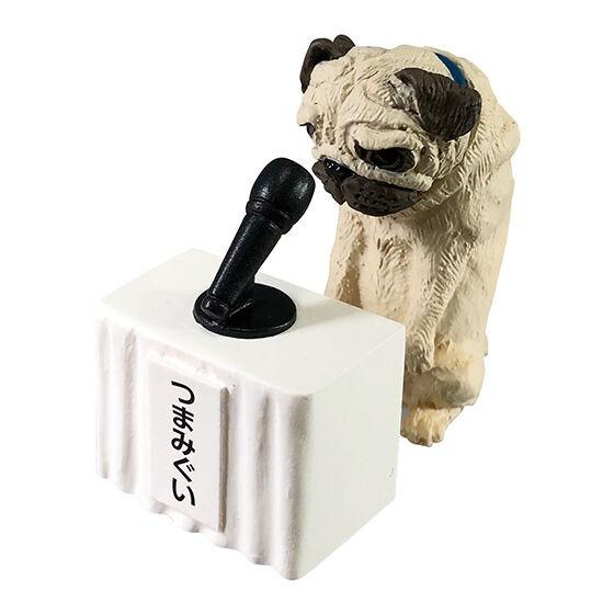 🌐代理版 動物 記者會系列 扭蛋 八哥