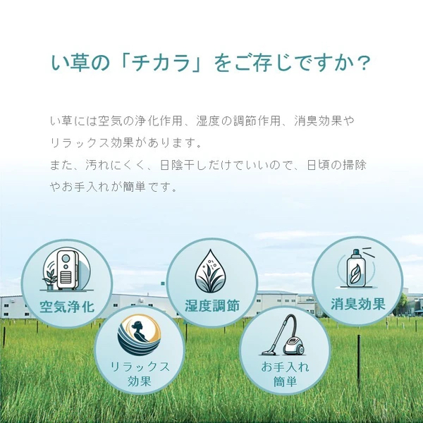 日本夏の風物詩榻榻米（藺草）花火金魚地墊