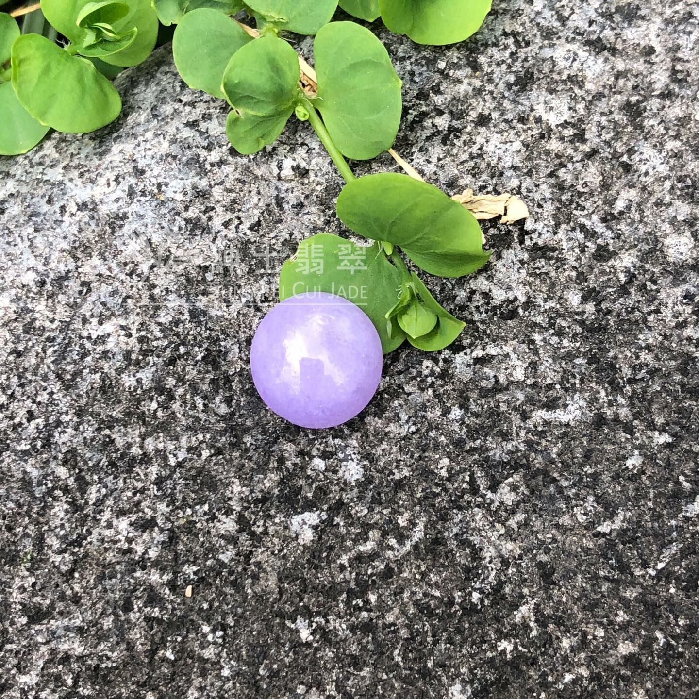 濃色正紫蛋面 - 13