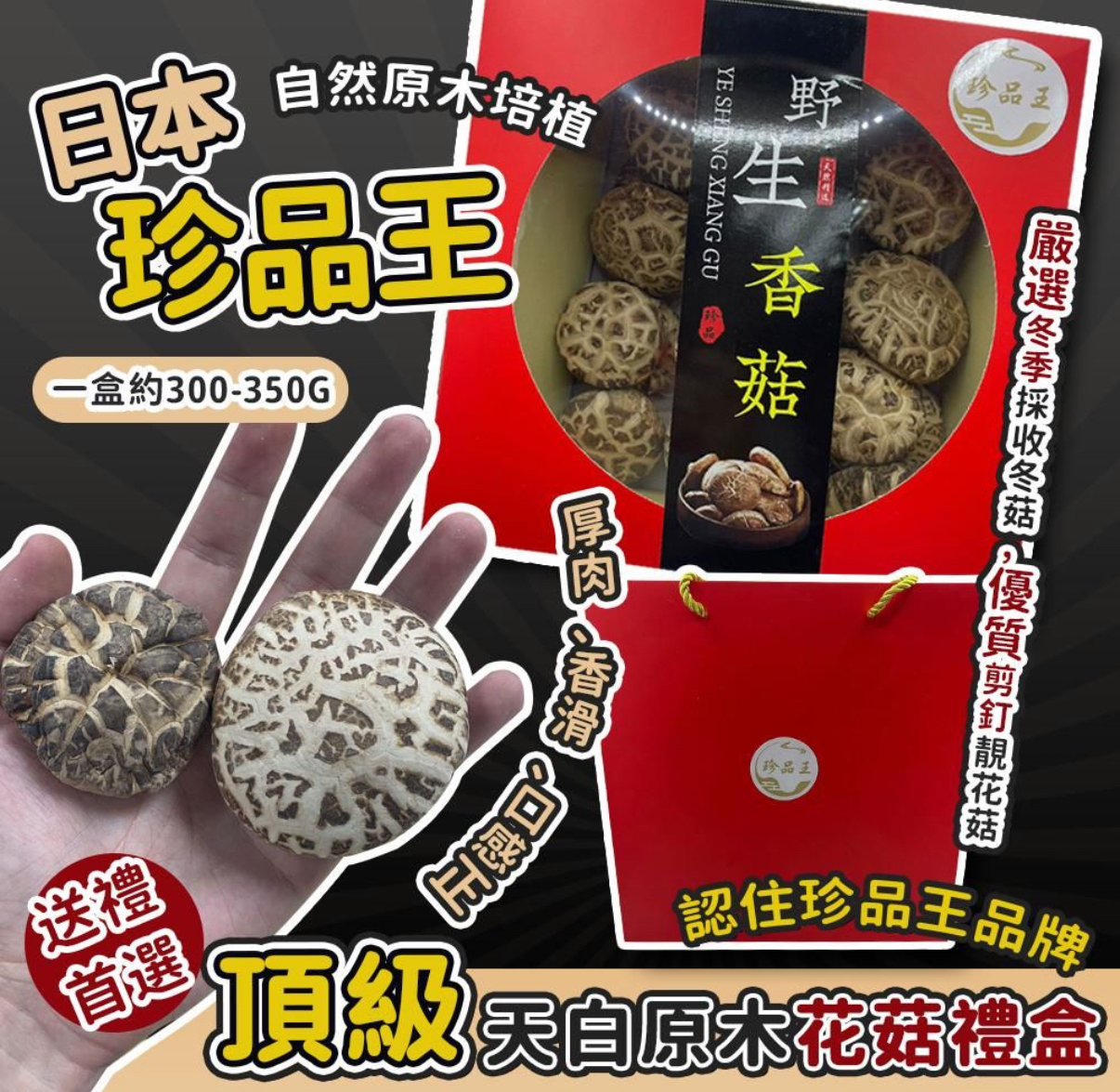 現貨現貨 日本珍品王-頂級天白原木花菇禮盒🍄XL 