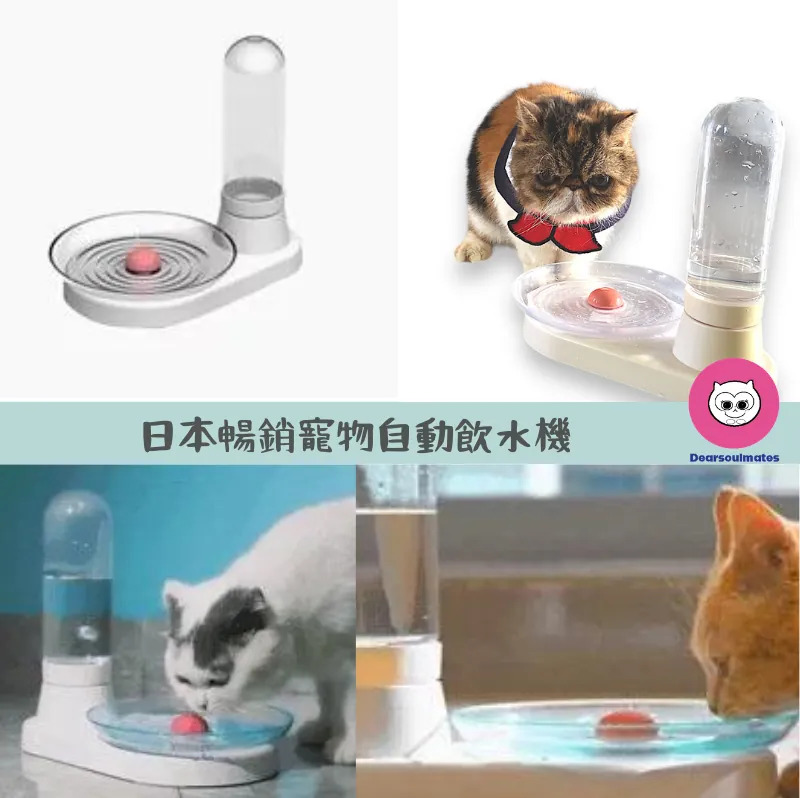 日本暢銷寵物自動飲水機