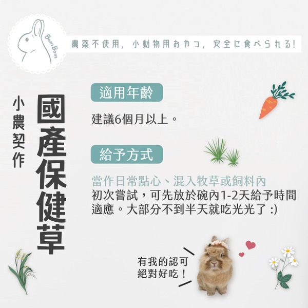 台灣BomBom尋寶趣 國產羽衣甘藍 - 9g