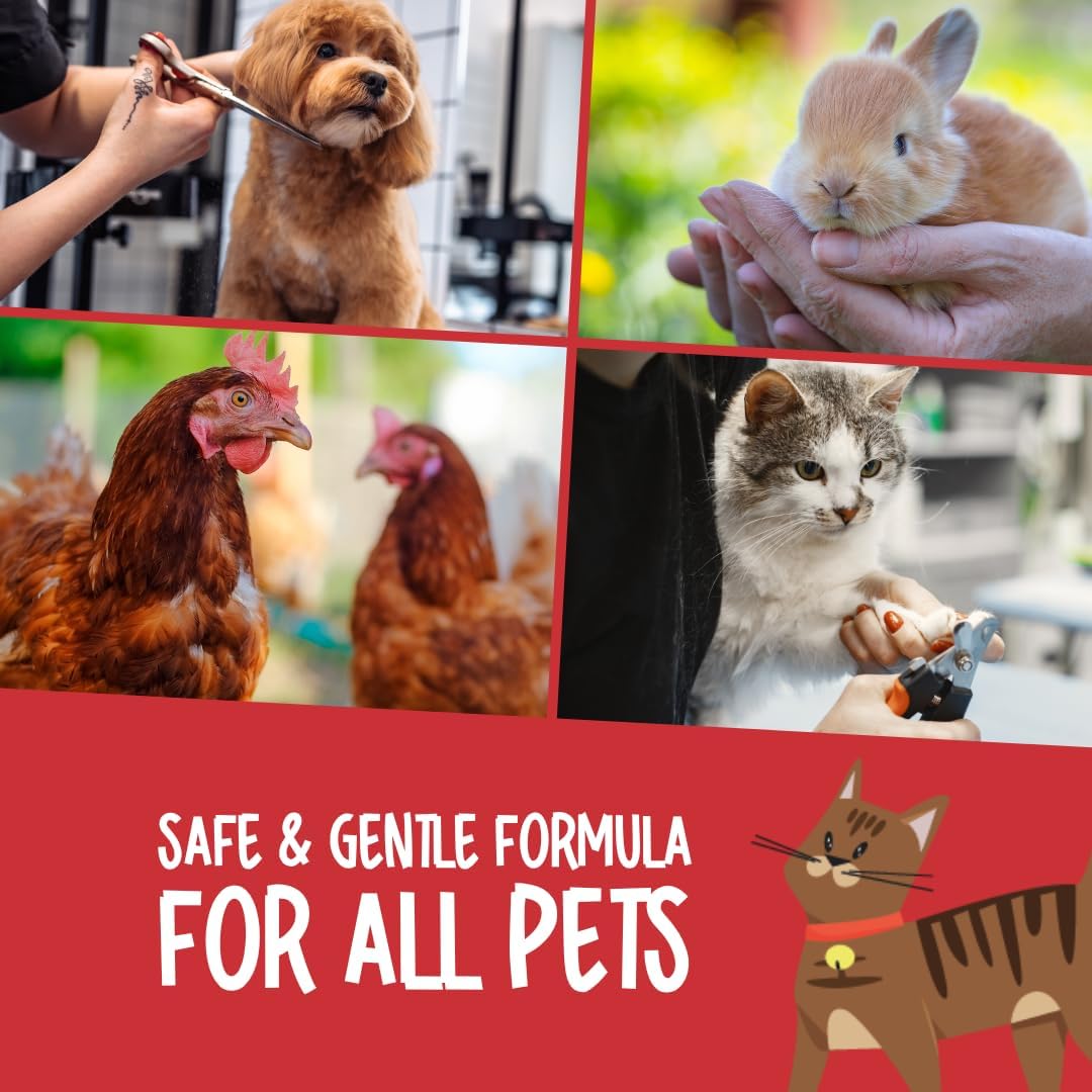 PetSol 寵物用止血粉 