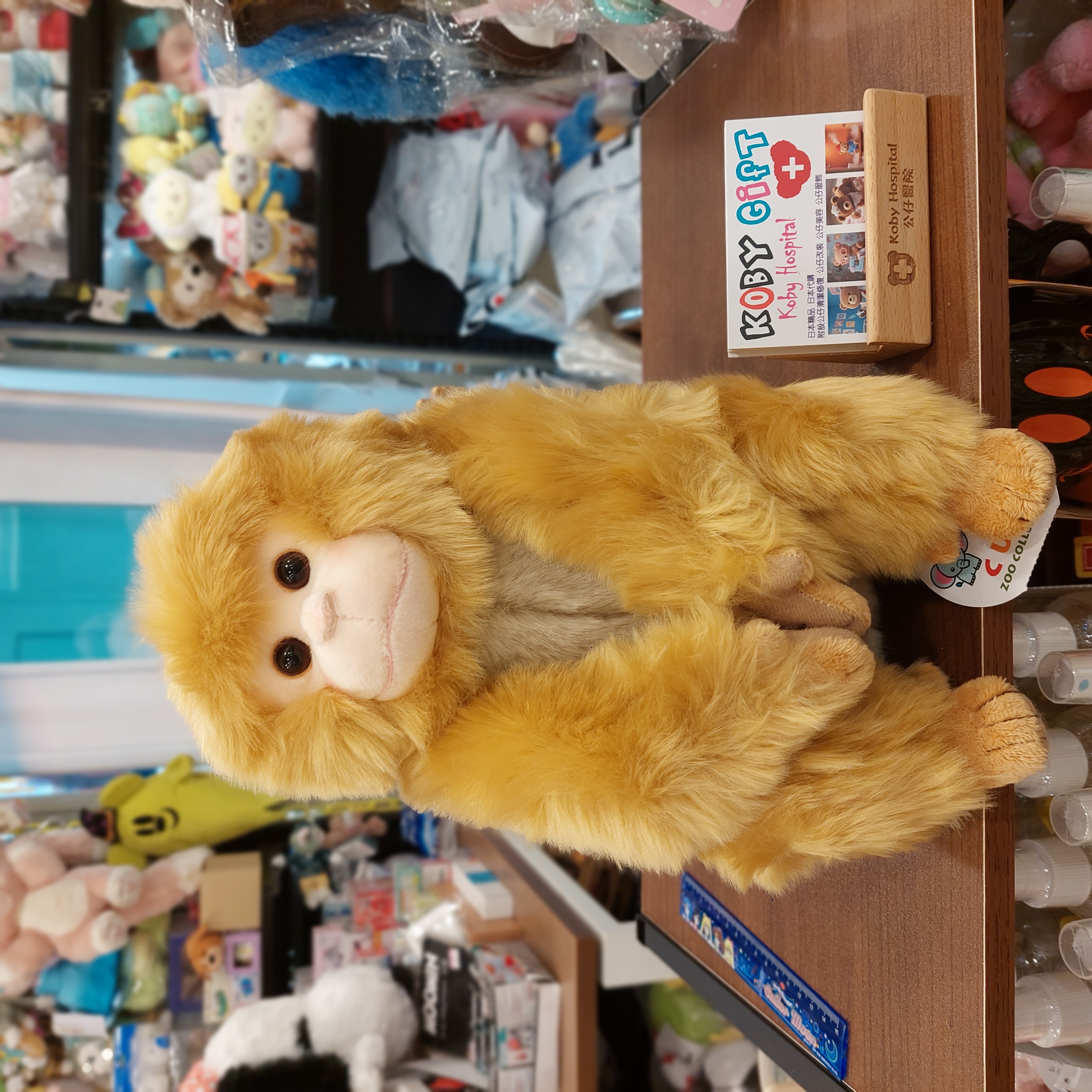 日本 市川動物園  馬騮仔  手仔腳仔都附有磁石 限定款 punchi 君 吊飾, S, M, L 四個 Size 選