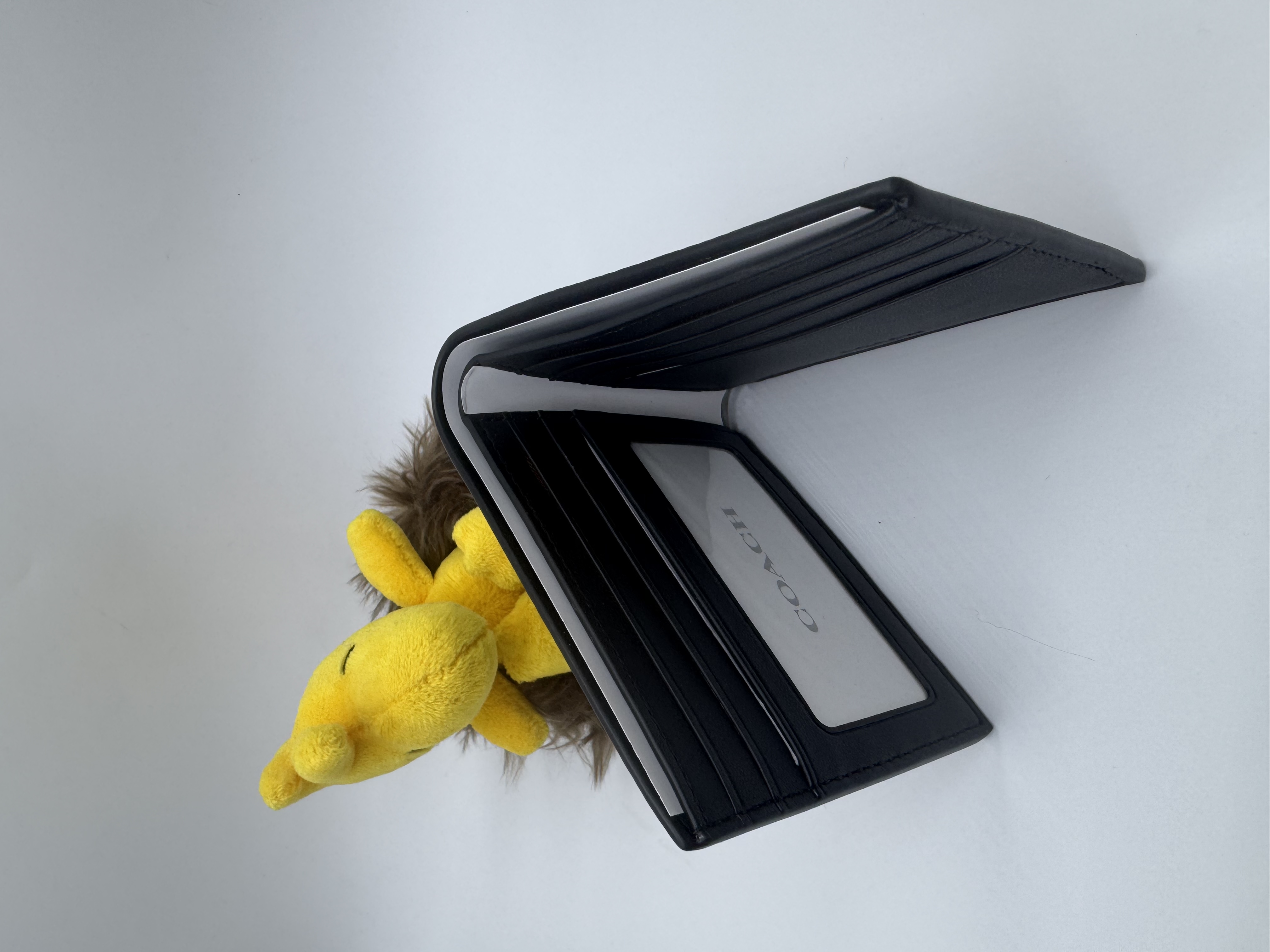 🇺🇸✈️🇨🇦傳統又實用嘅Coach outlet 簡單約啡色Signature C pattern 對摺銀包🤎現貨🤓😎