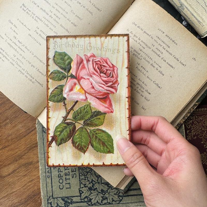 Antique 1911 Embossed Rose Print Birthday Greeting Postcard (MT2305-3)