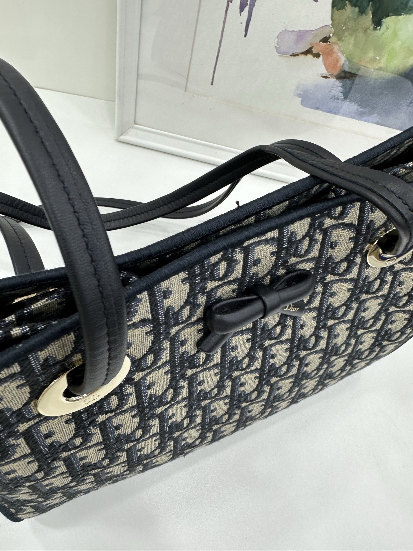 Pre-Owned DIOR Promenade Shopping Bag / Product Code: 26041804