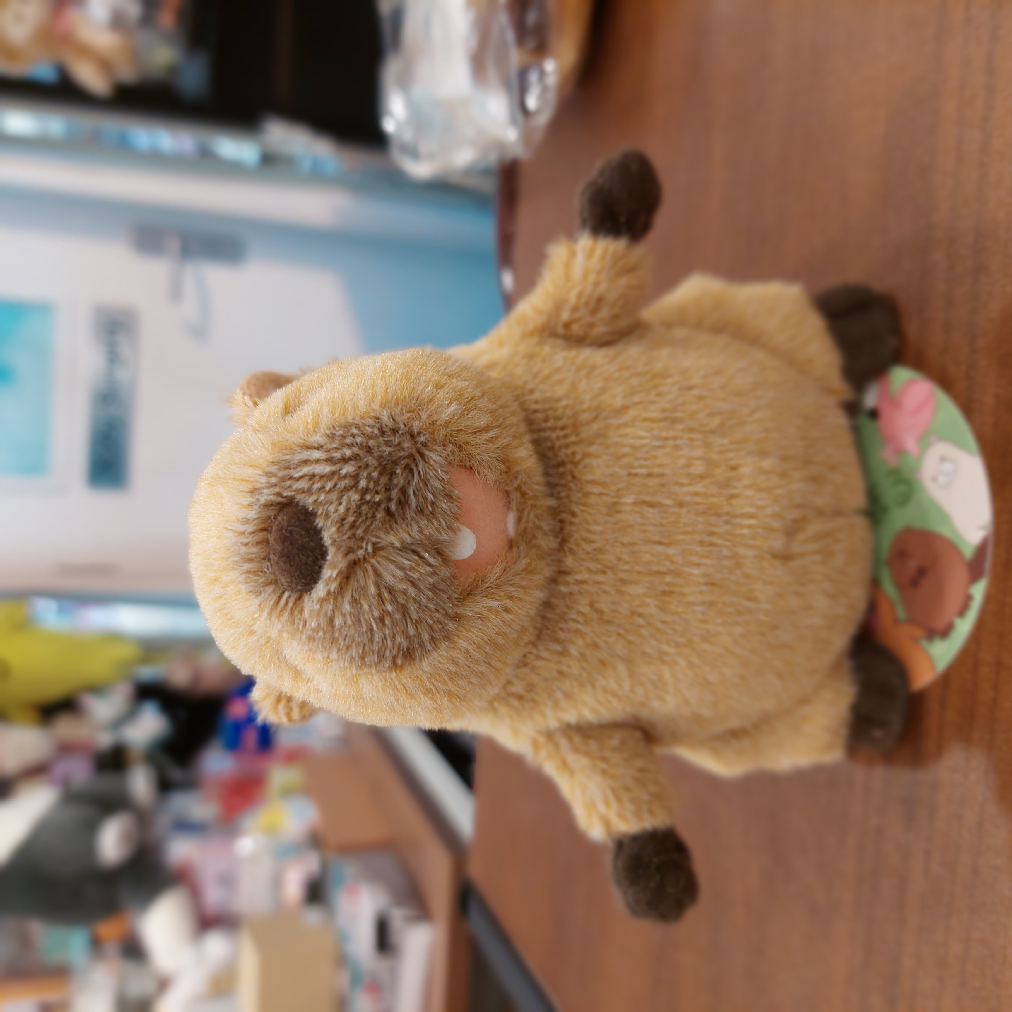 原裝日本可愛之選 土撥鼠 ＆ 小海狸公仔Beaver ＆ Marmot 小公仔 11- 12cm