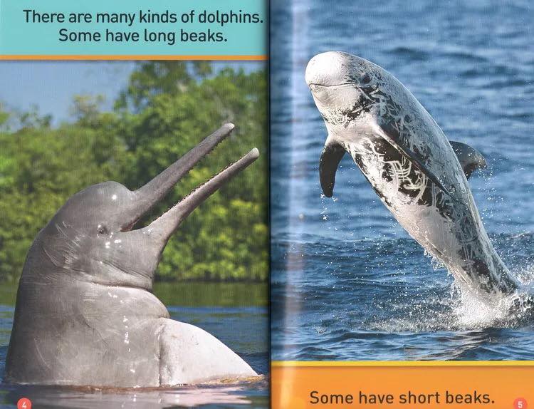 National Geographic Kids Pre-reader 國家地理分級讀物 預備級 兒童百科書｜20 books｜點讀版