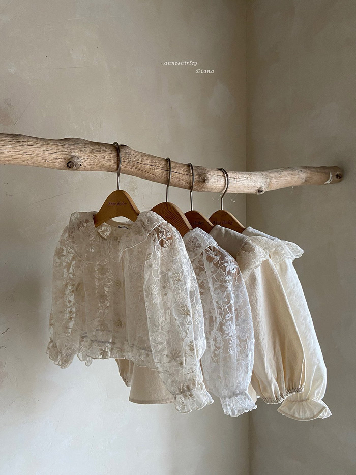 🇰🇷Anne shirley blouse