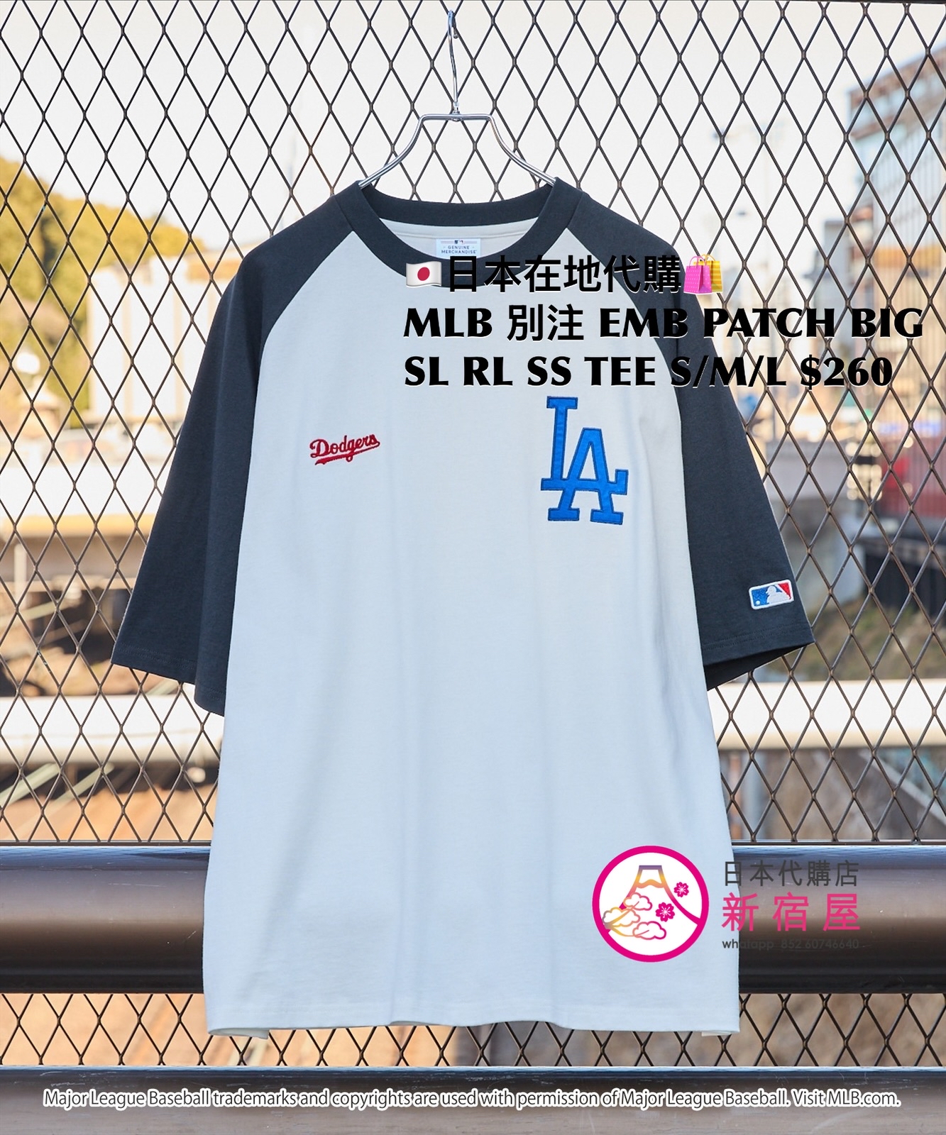 MLB 別注 EMBROIDERED PATCH BIG SILHOUETTE RAGLAN SS T-SHIRT