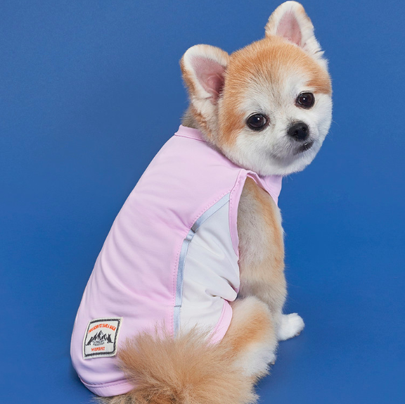 *SuperPet🇰🇷狗狗涼感機能背心