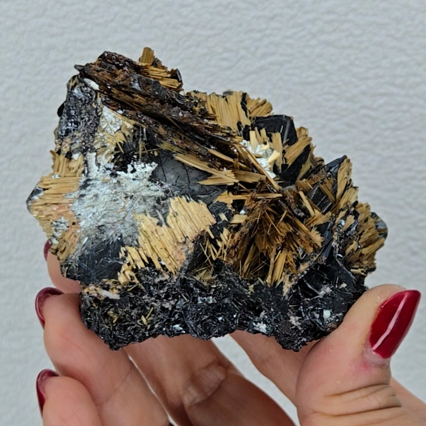 Golden exposed starburst rutiles on black hematite - RT288