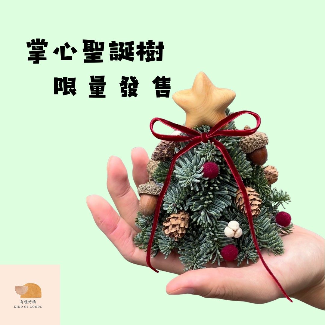 手工製貴族松聖誕樹10cm