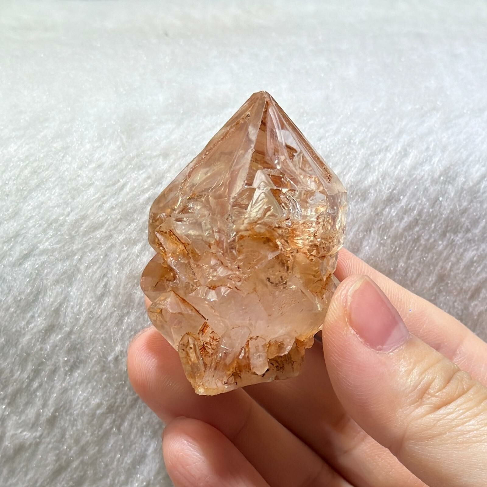 紅泥骸骨水晶 - 3