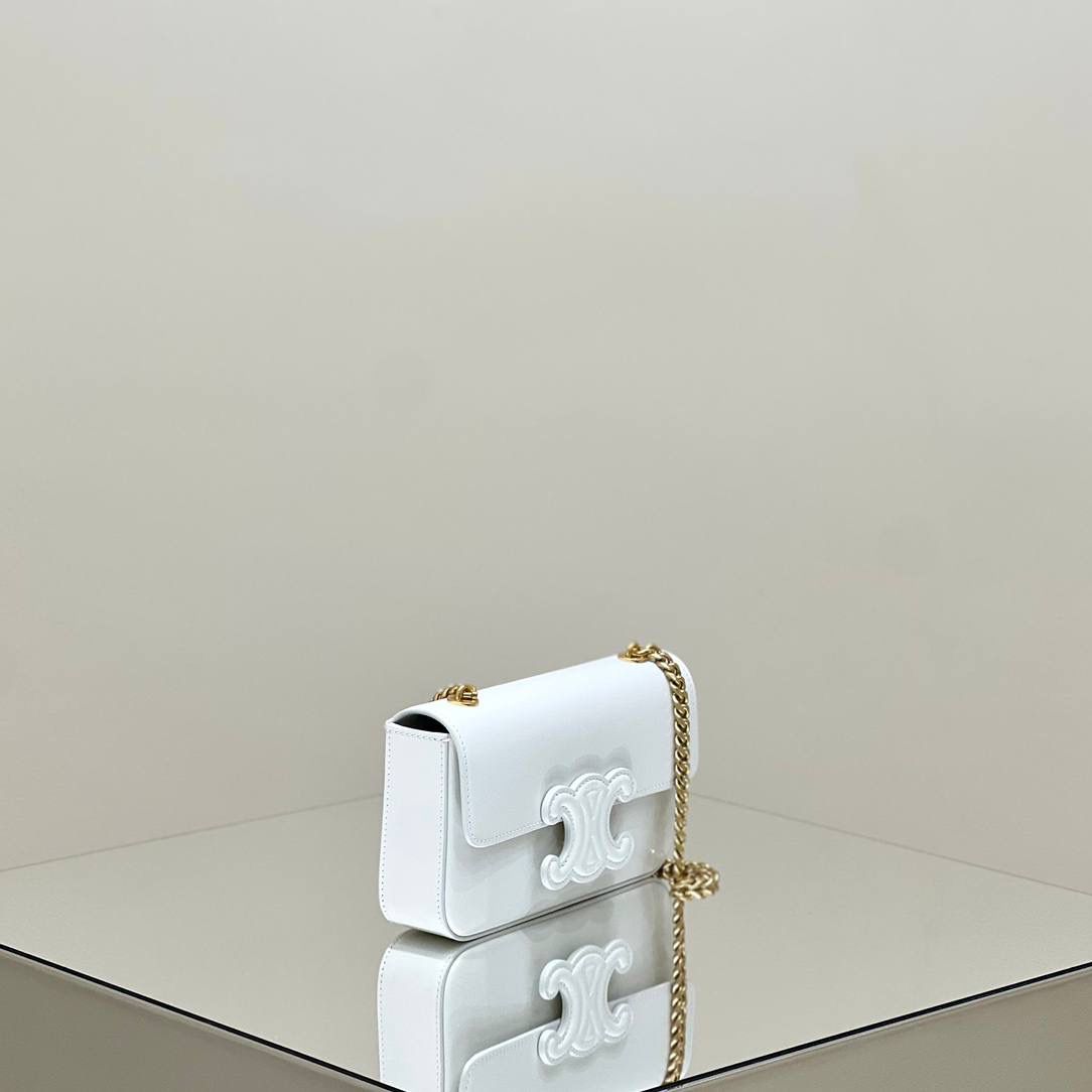 🔥大货实拍图 𝗖𝗘𝗟𝗜𝗡𝗘 ♥ 𝗧𝗥𝗜𝗢𝗠𝗣𝗛𝗘浮雕腋下包 型号：199243 尺寸：20.5*11.5*4cm