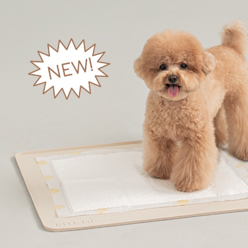 *BiteMe🇰🇷Non-slip Silicone Mat 