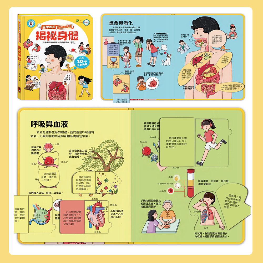 📚預訂 台灣直送📚百問百答圖解翻翻書-揭祕身體
