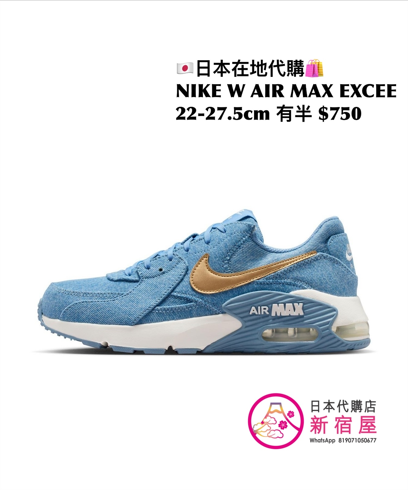NIKE W AIR MAX EXCEE 