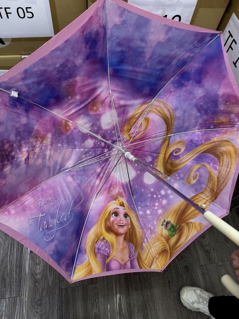 [現貨] [JDS] RAPUNZEL ｜ 長髮公主 ｜ 絕版 ｜ 長遮 ｜ 金屬部件有少許氧化，但還可使用 {TF2412003}