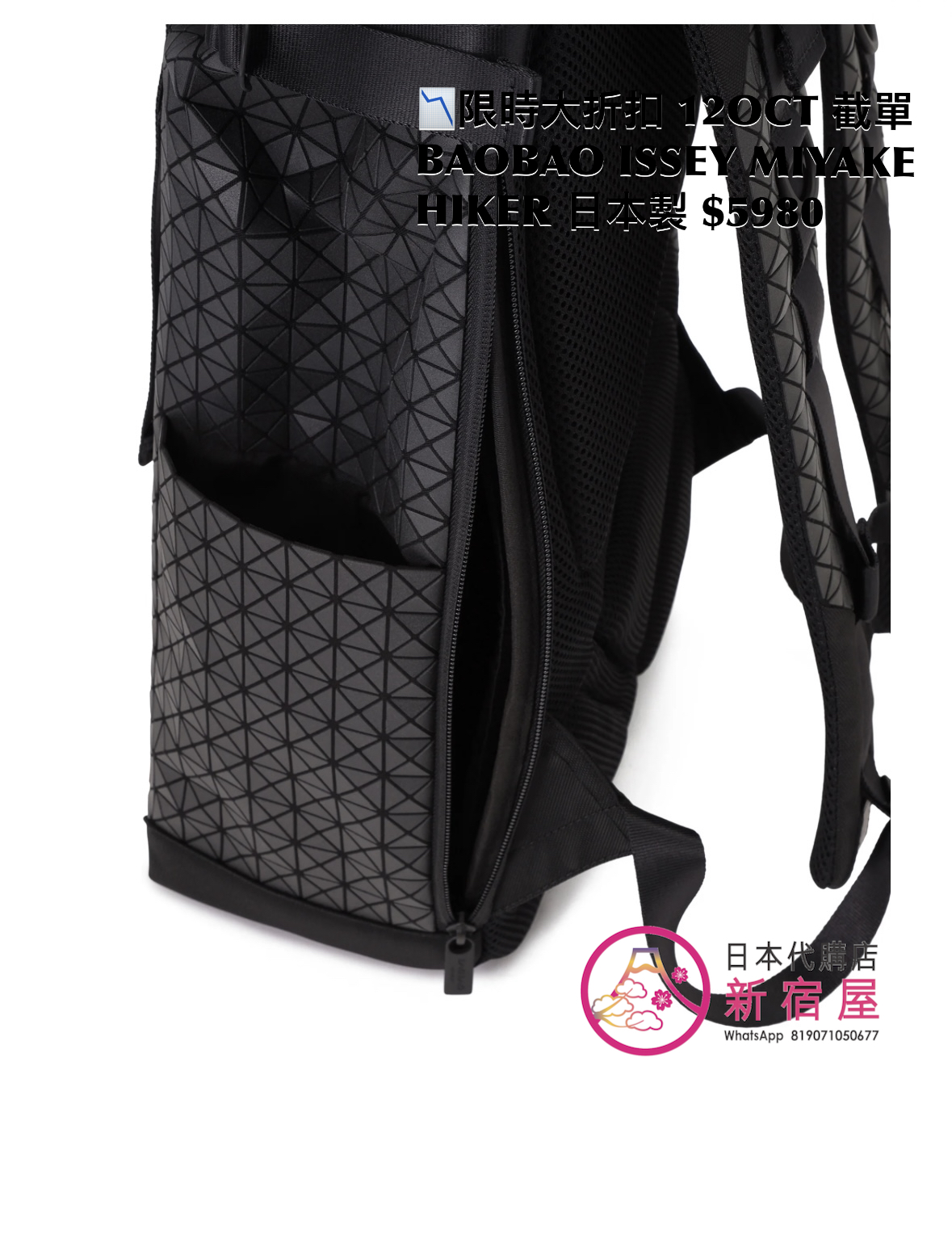 BAOBAO ISSEY MIYAKE HIKER