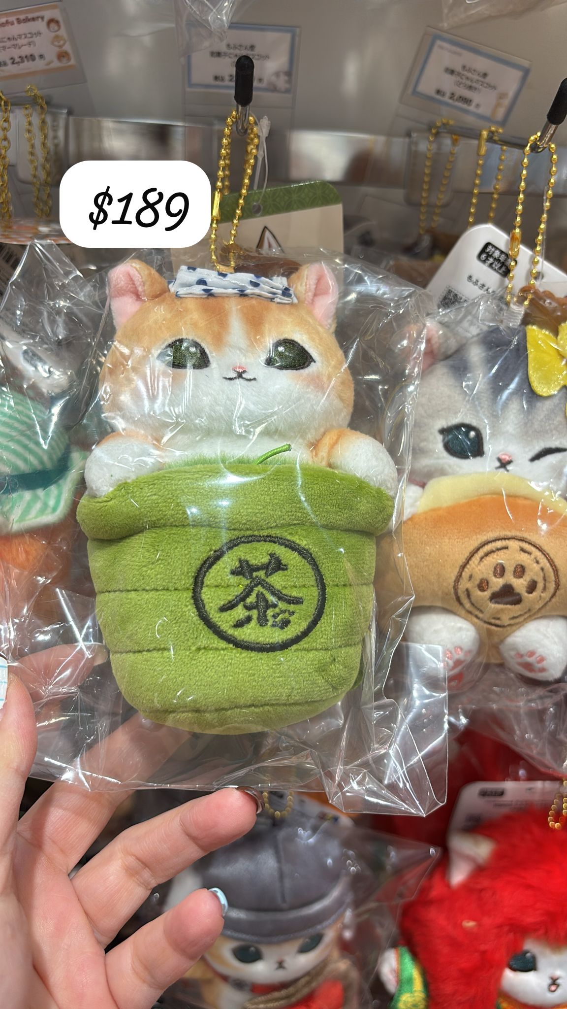 mofusand matcha