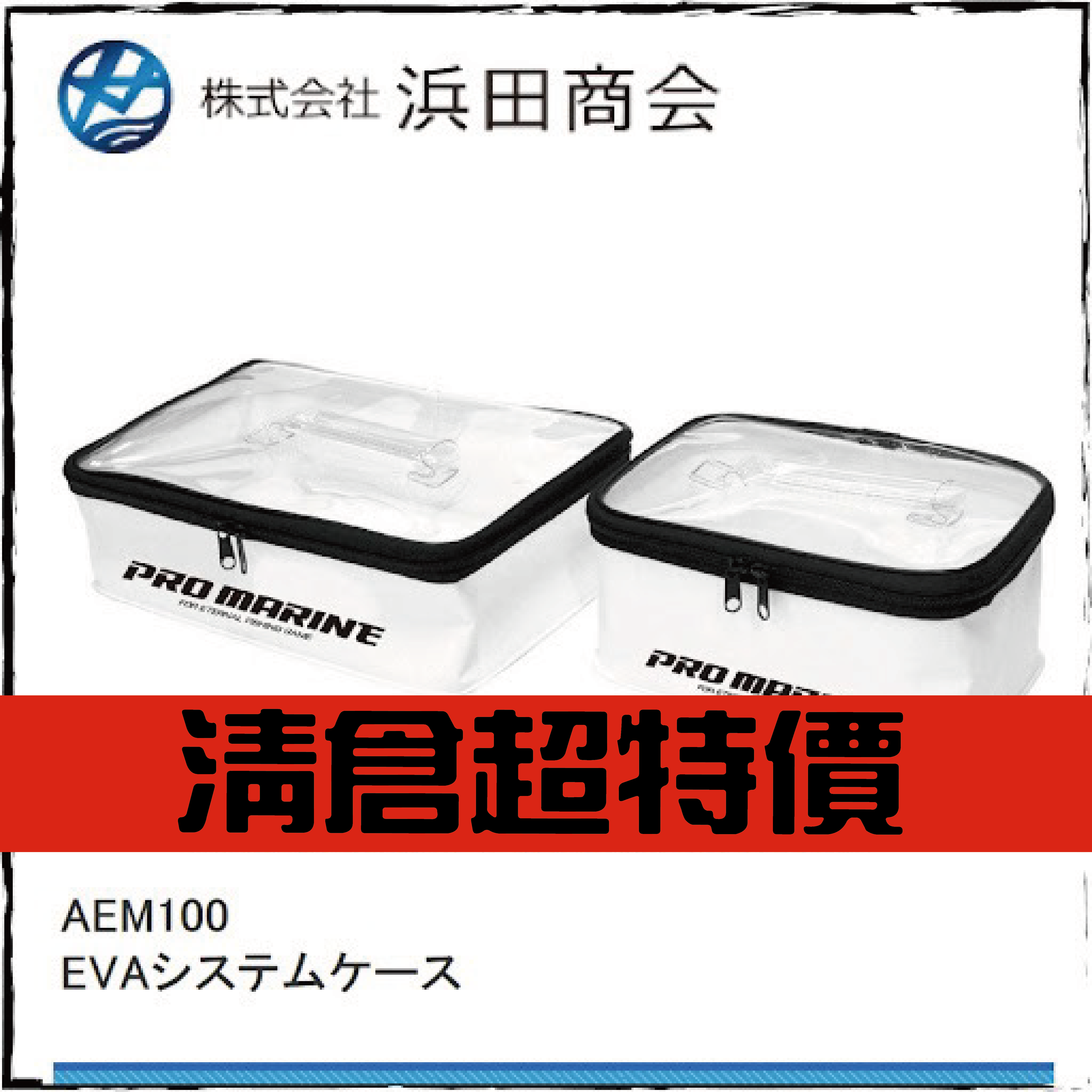EVAシステムケースAEM100