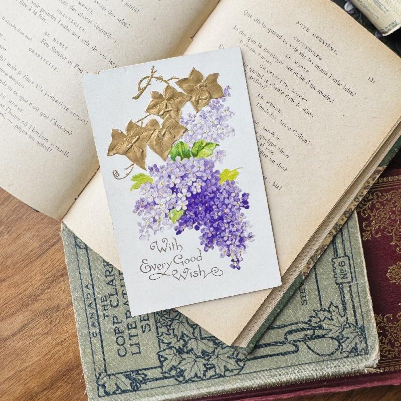 Antique Pre-1918 Printed in Saxony Forget me Not with Every Good Wish Postcard - Embossed and with Gold Foil (MT2305-7)