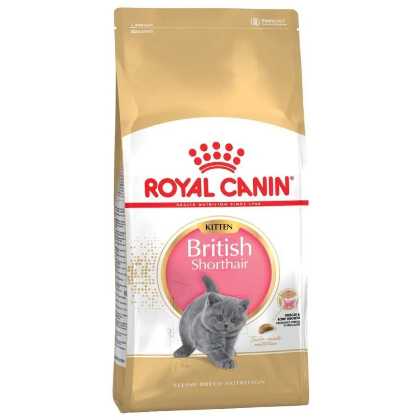 Royal Canin - RC 皇家犬糧幼貓英國短毛貓專用乾糧