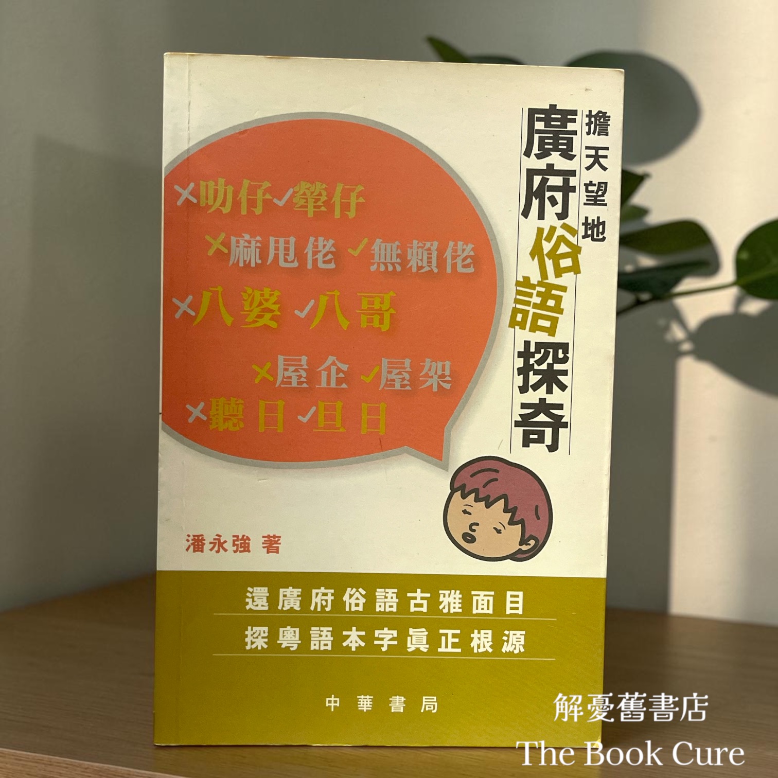 擔天望地——廣府俗語探奇 / 潘永強 著