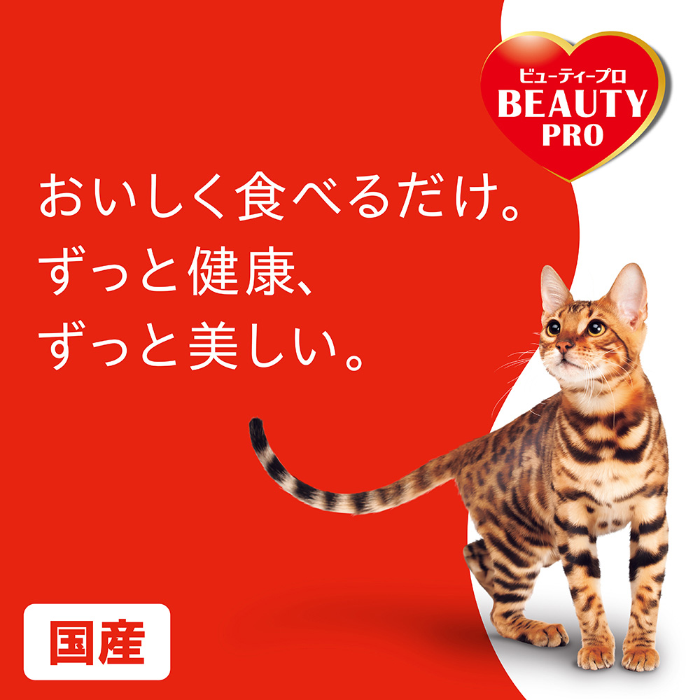Beauty Pro 貓糧：呵護下泌尿道健康，1 歲以上全齡貓適用 1.4Kg