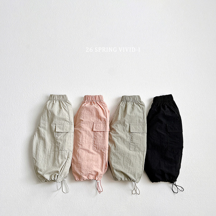 🇰🇷vivid_i pants