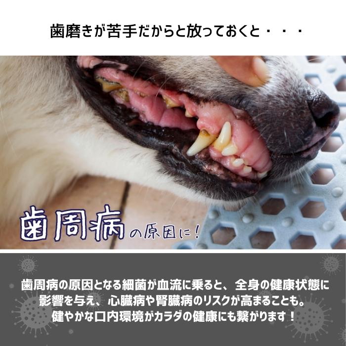 🔥🔥【日本製《PROBIO DENTAL》貓狗專用天然益生菌口腔護理保健粉末】9.8g