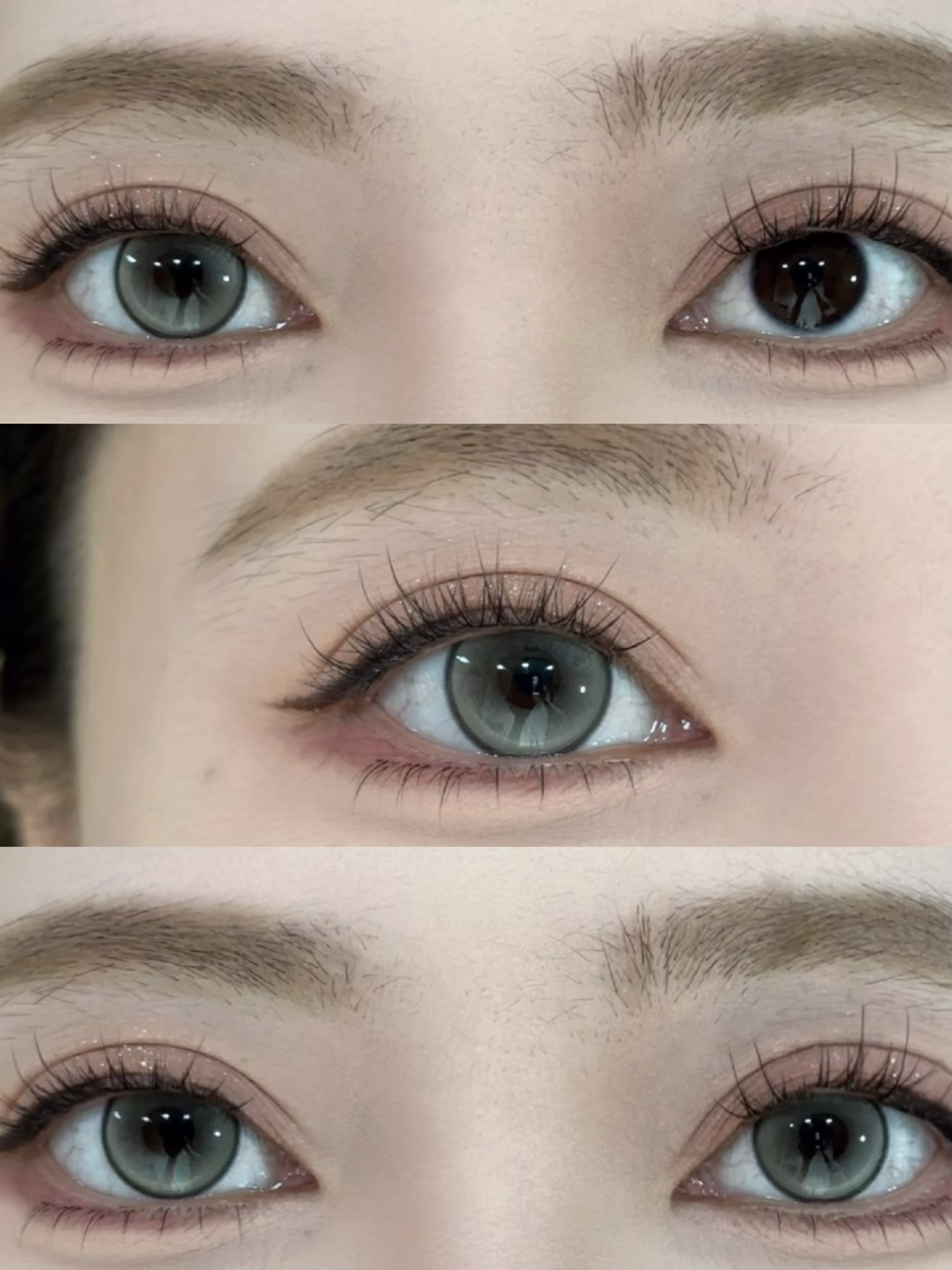 Serltyca 日拋6片裝 奶呼小熊系列