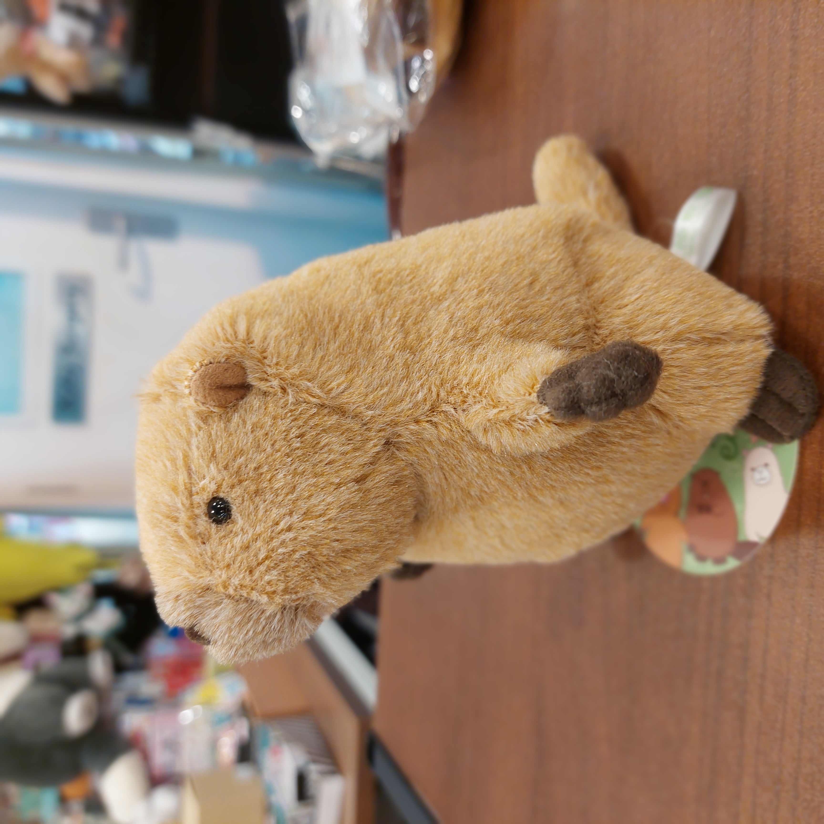 原裝日本可愛之選 土撥鼠 ＆ 小海狸公仔Beaver ＆ Marmot 小公仔 11- 12cm