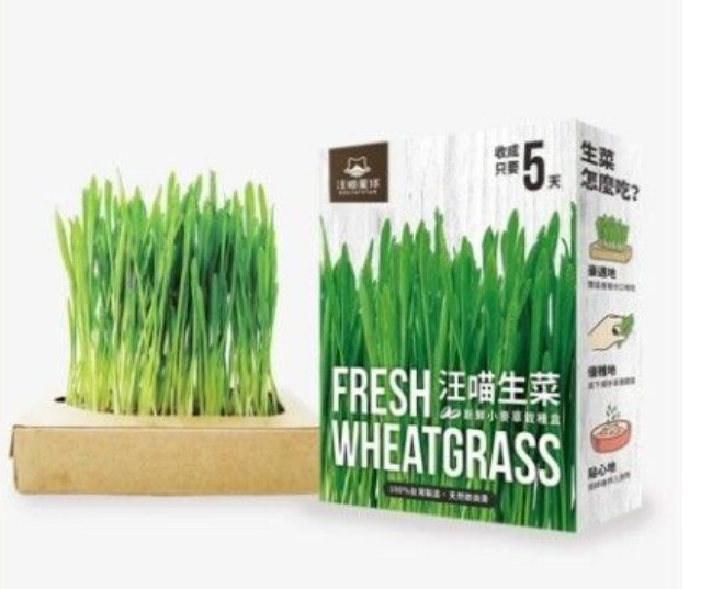 汪喵星球-Dog Cat Star 貓草新鮮栽培盒 汪喵生菜 小麥草 80g 貓犬適用 wheatgrass