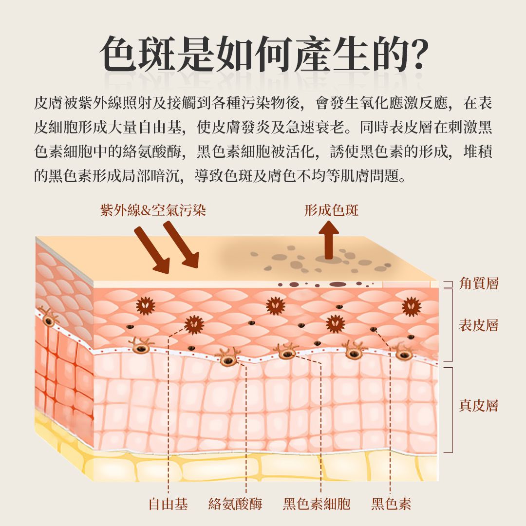 VA高效鎮靜淨白保濕乳 -凈白/保濕/抗敏 e80ml